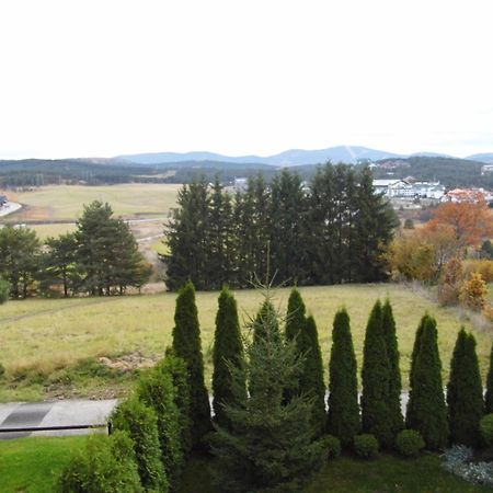 Villa Dama & Dubravka Zlatibor Dış mekan fotoğraf
